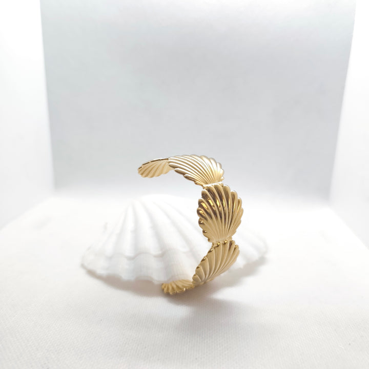 Shell bracelet